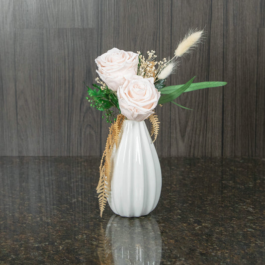 two blush preserved roses with dried, bleached greenery in a white vase