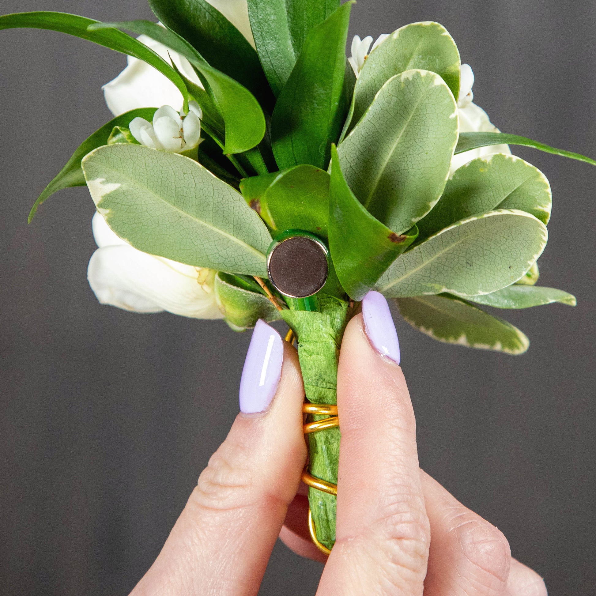 air plant boutonniere Spray Rose Boutonniere