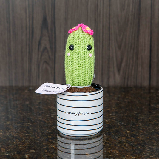 a tall green crochet cactus with pink flowers on top and a cute blushing face