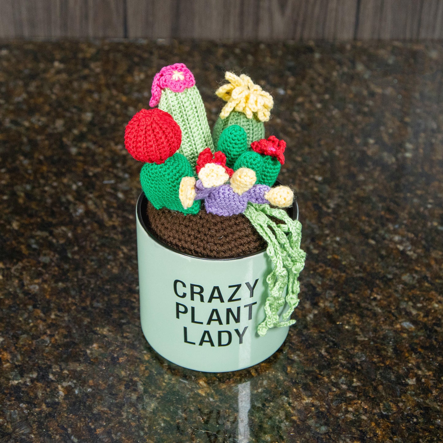 Crochet Cactus Garden