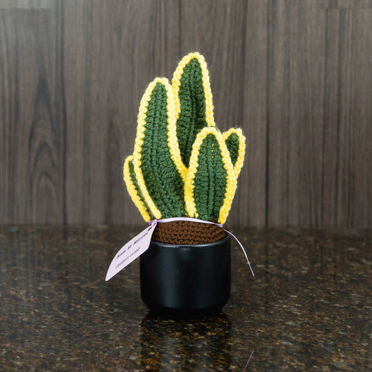 Crochet Snake Plant
