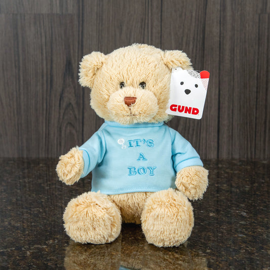It's A Boy 9 inch Teddy Bear
