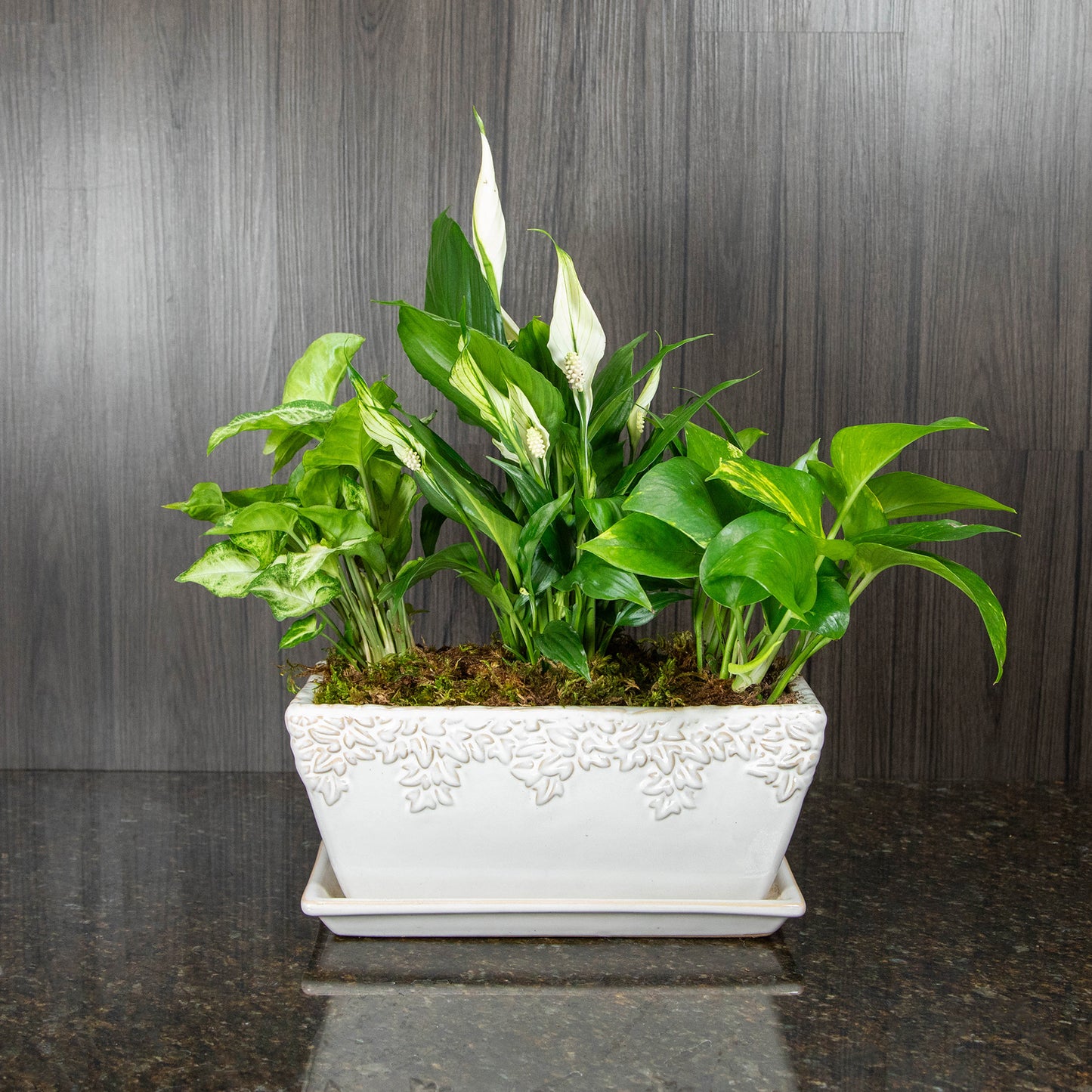 Garden Planter