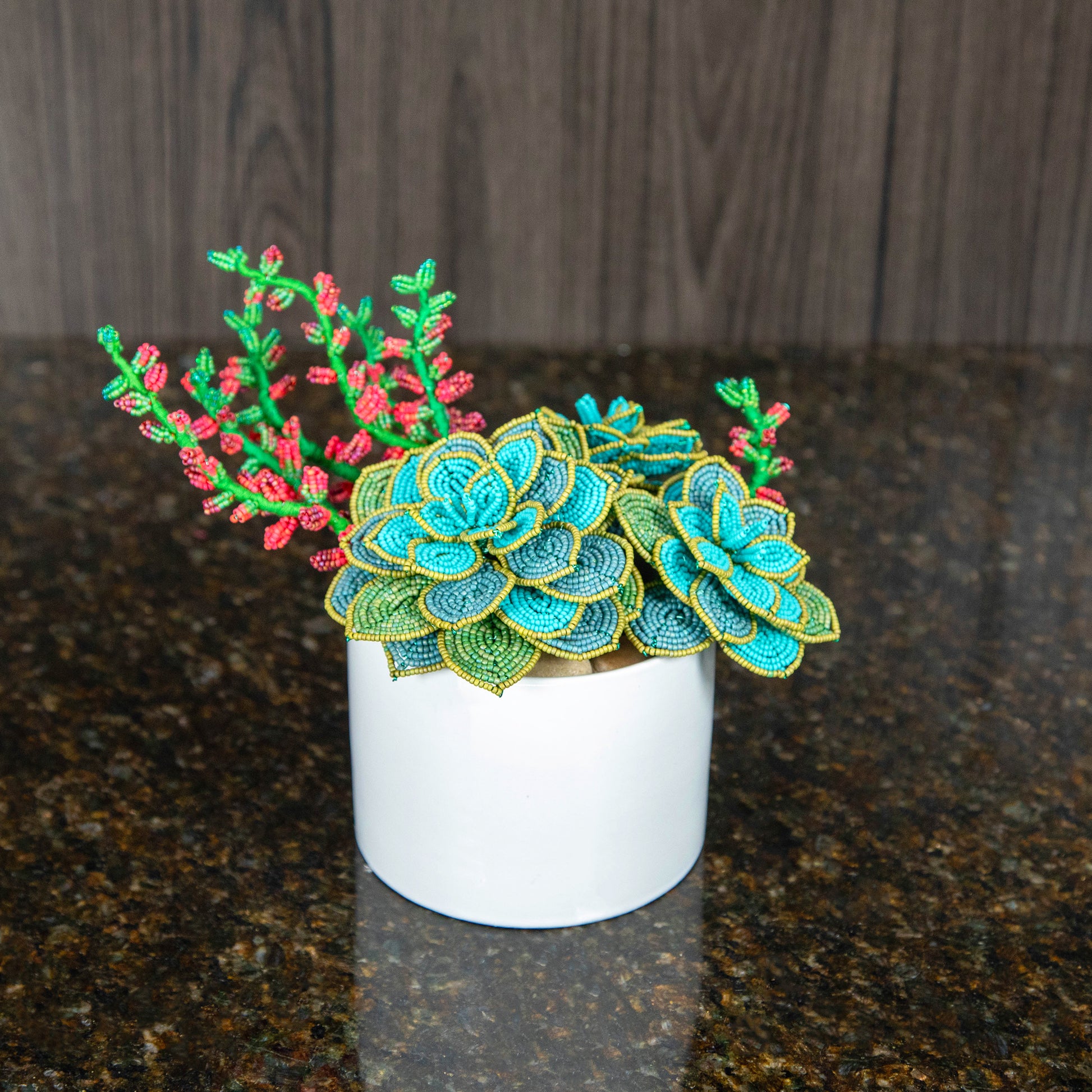top down view of french beaded succulents in a white ceramic pot