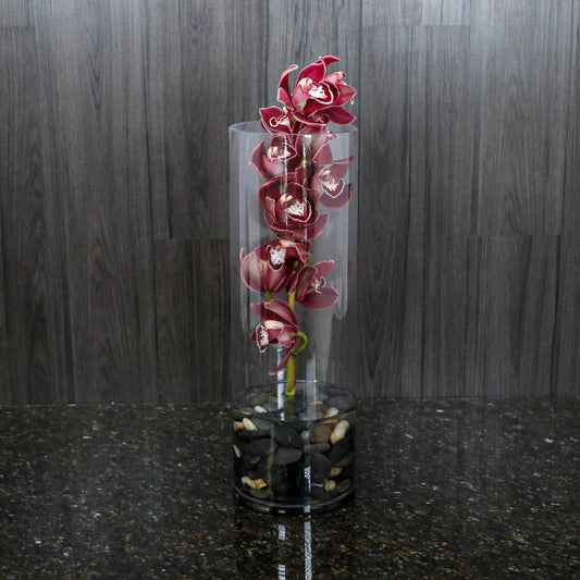 a stem of burgundy cymbidium orchids in a tall glass cylinder with black river rocks at the bottom