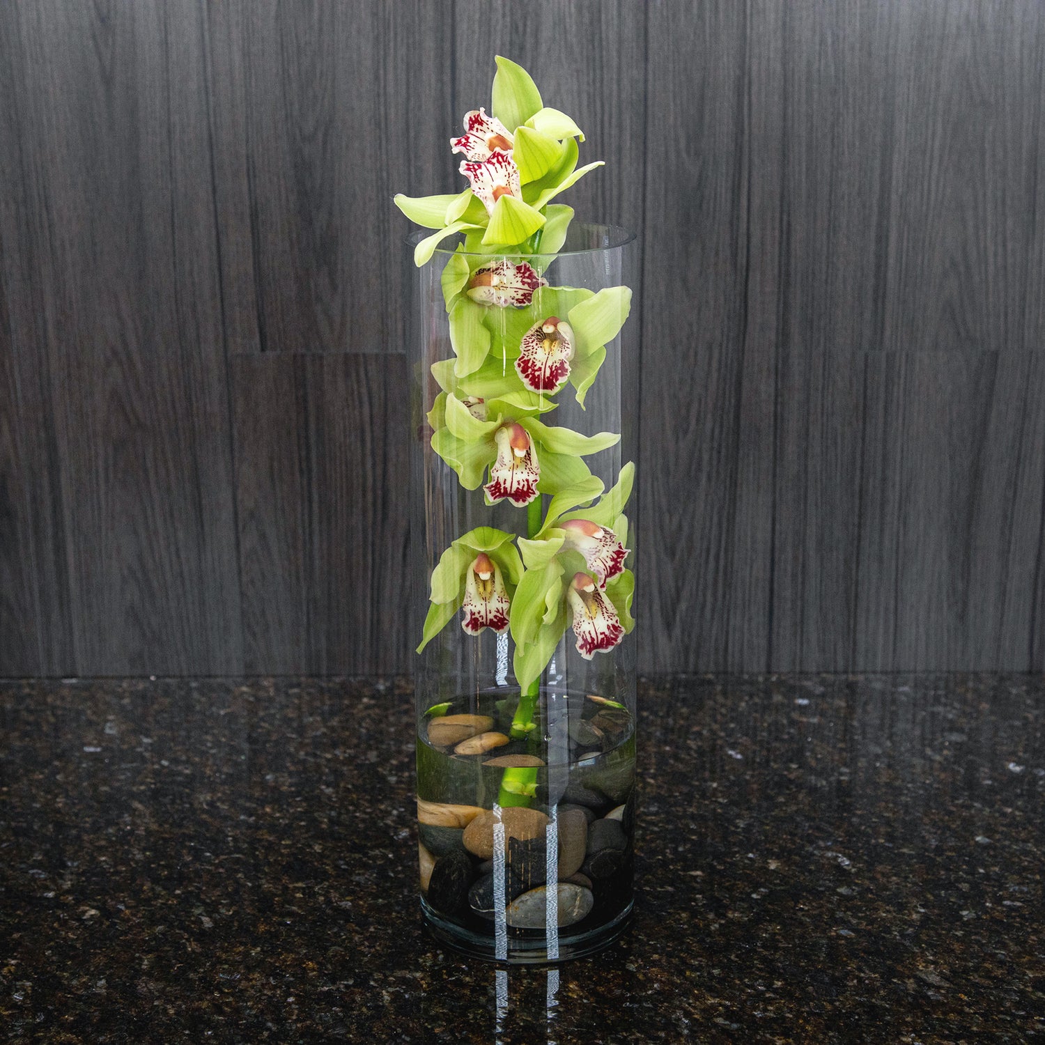 a stem of green cymbidium orchids in a tall glass cylinder with black river rocks at the bottom