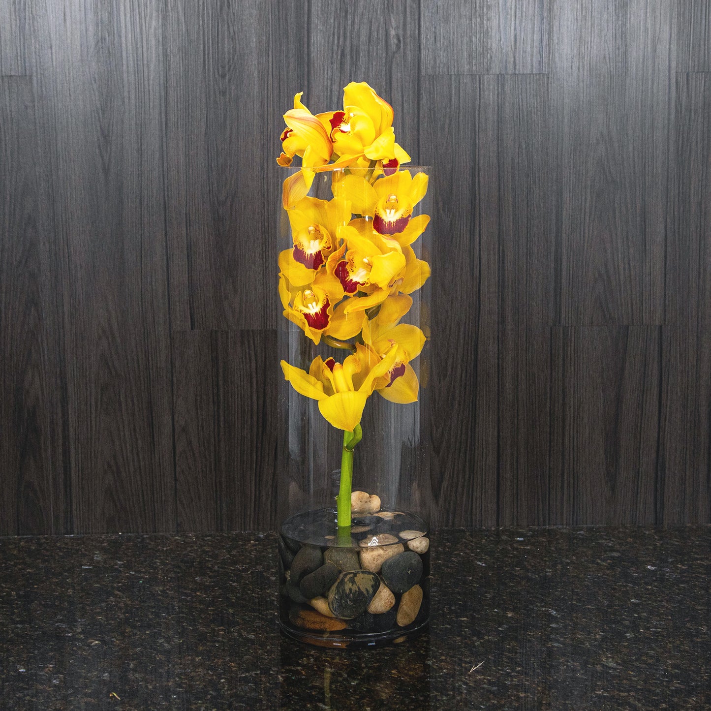a stem of yellow cymbidium orchids in a tall glass cylinder with black river rocks at the bottom