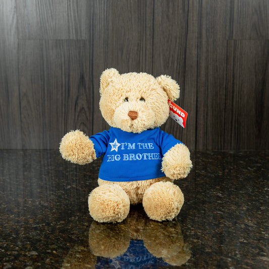 Big Brother 9 inch Teddy Bear